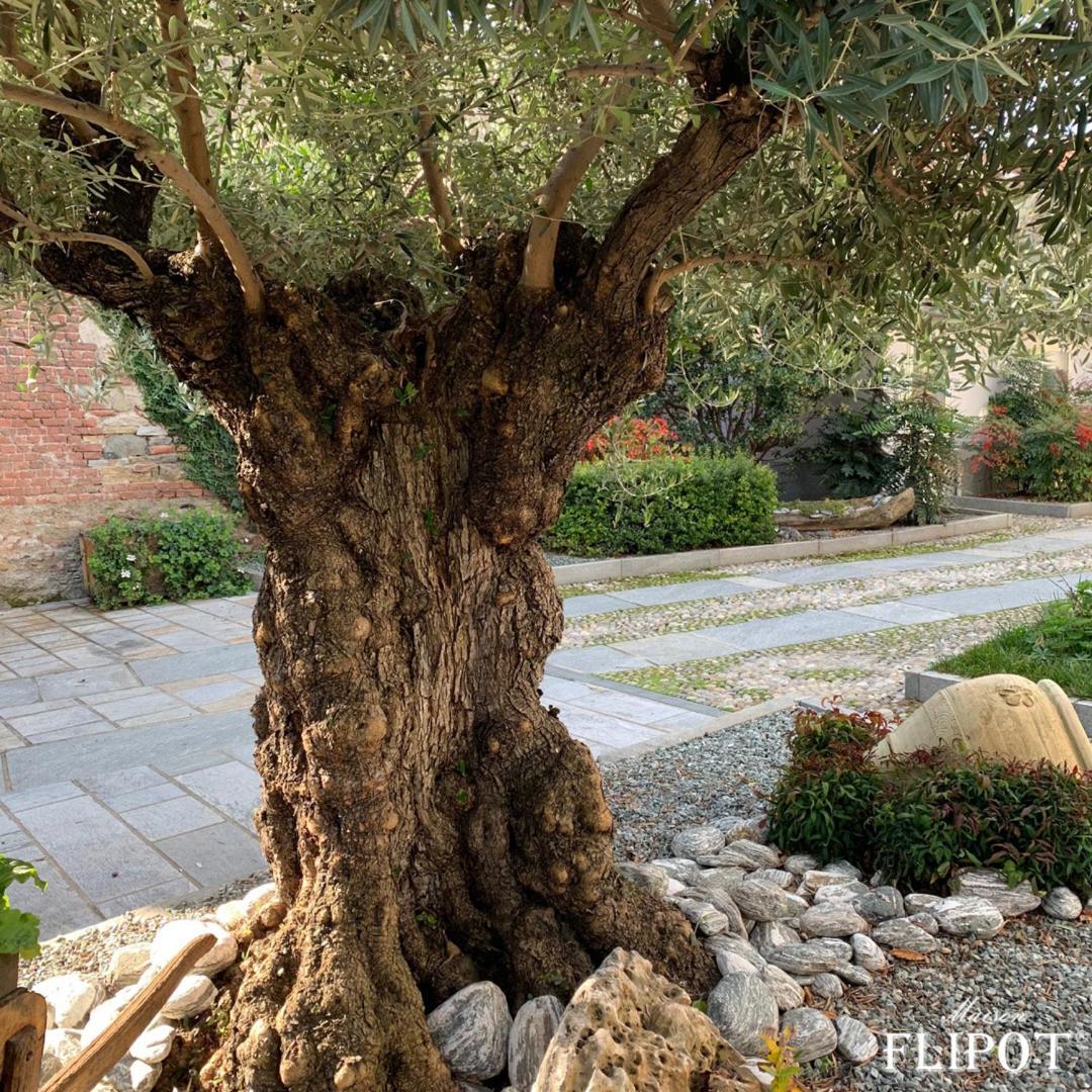 Maison Flipot Torre Pellice Dış mekan fotoğraf